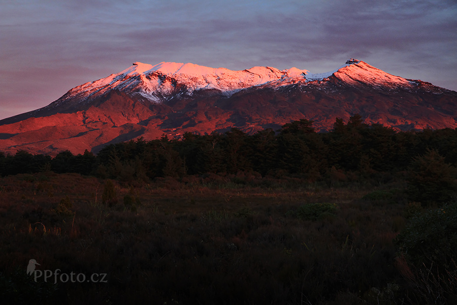 Sopka Ruapehu