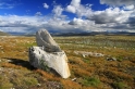 Dovrefjell NP