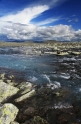 Dovrefjell NP
